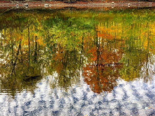 brockawillis's tweet photo. Fall reflections. #nature #naturephotography #landscapephotography #naturalindiana #indiananature #myindiana #igersindiana #igersindy #shotoniphone #water #reflection #sky #nature #iphonexsmax #visithc #iphoneonly #indiana_explored #coveredbridge #goexpl… https://t.co/0gi4QAgJoF https://t.co/23uuMHQqE6