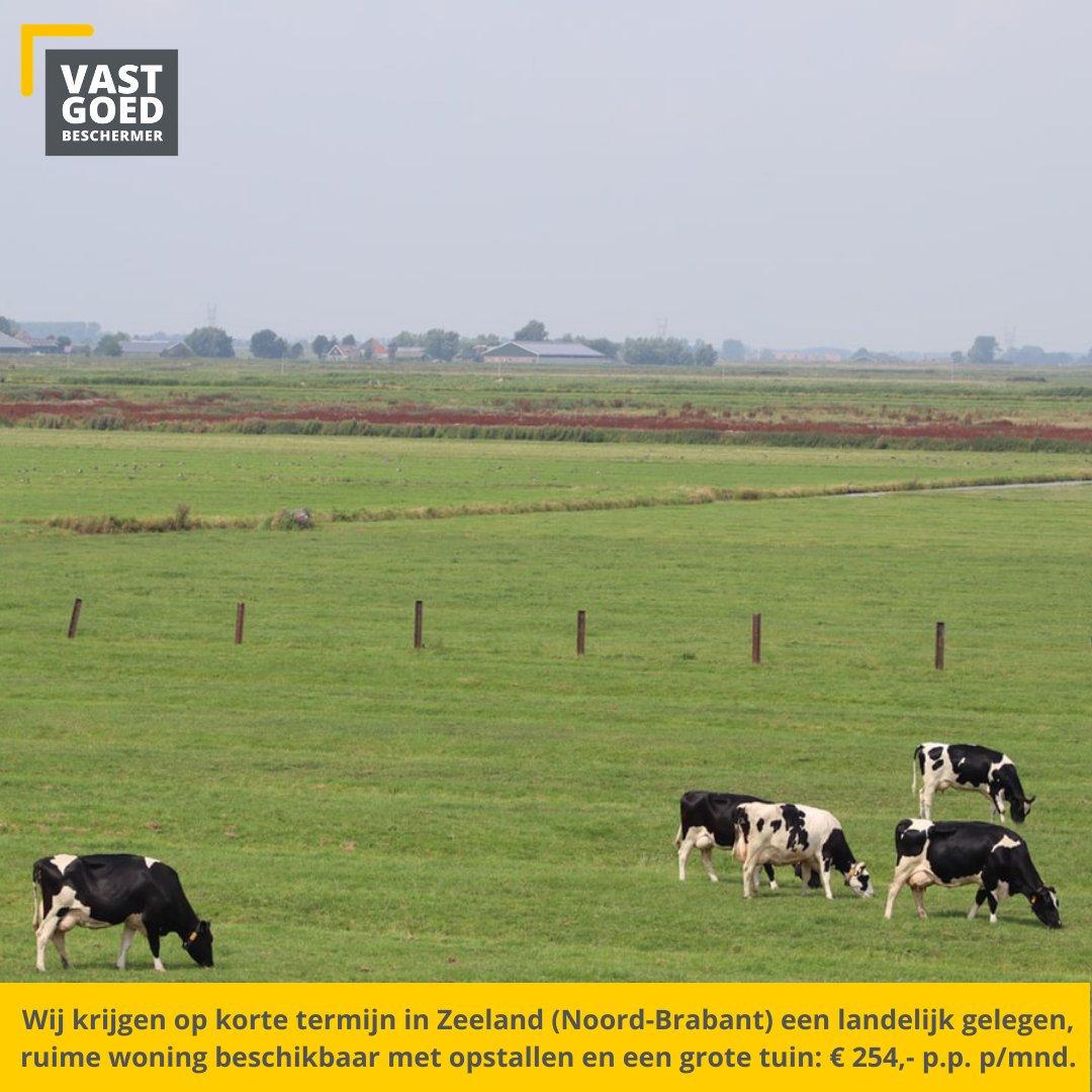 devgb_nl's tweet image. We krijgen op korte termijn een #woonruimte beschikbaar in het #dorpje #Zeeland (Noord-Brabant). Het betreft een #landelijk gelegen, ruime #woning met opstallen en een grote tuin. We zoeken voor deze woonruimte leuke, verantwoordelijke beschermers: bit.ly/35ScTDv.