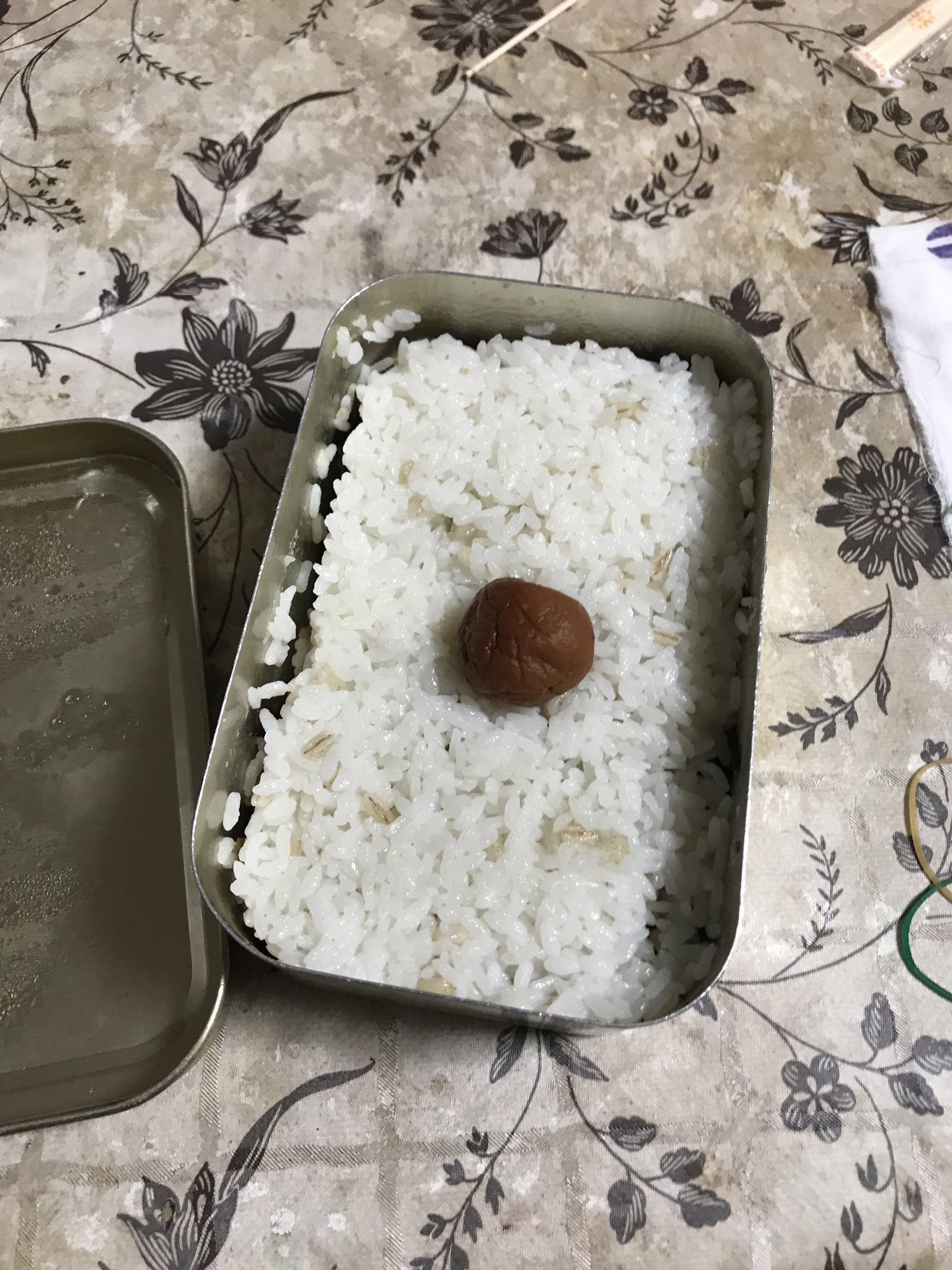 トニー Di Twitter 昼食えなかった弁当 まだ大丈夫だろ ちなみにほぼ毎日ドカベンで日の丸弁当です T Co V0xtdb2og0 Twitter トニー Di Twitter 昼食えなかった弁当 まだ大丈夫だろ ちなみにほぼ毎日ドカベンで日の丸弁当です T Co V0xtdb2og0 Twitter
