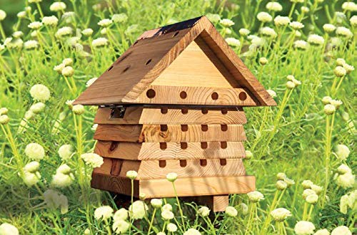 GardenBargainUK's tweet photo. ⬇️ Wildlife World Solitary Bee Hive RRP £34.99 NOW £13.47 (new low) https://t.co/CdlZHtjleQ https://t.co/Vg4ysb2vke