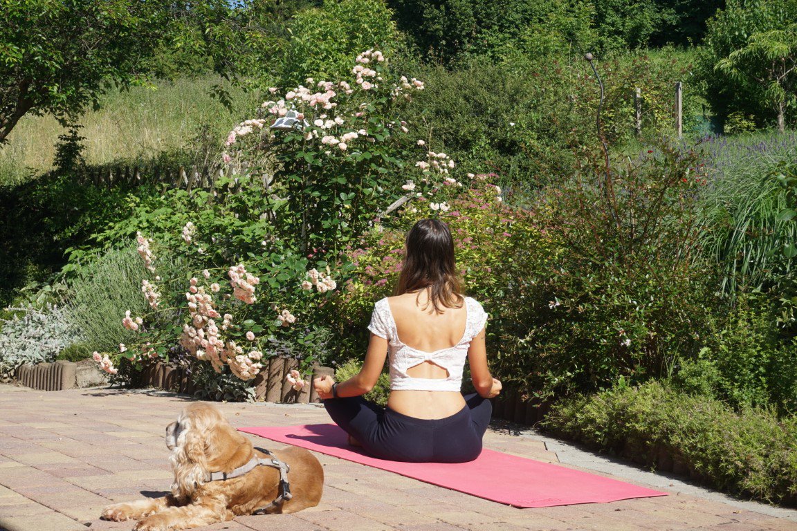 curiouscat_eth's tweet image. Gibt es einen besseren Tag als den #tagdesapfels für ein bisschen Nostalgie und Heimweh nach der schönen #Steiermark inklusive Apfelstraße, #Kürbiskernöl und #Schilchersturm? 
#steiramadl