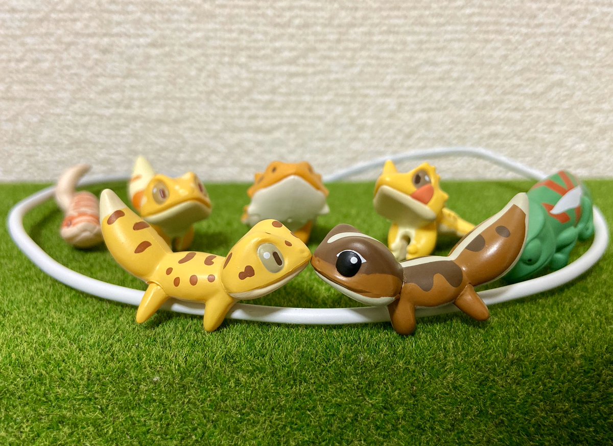 ツク之助 フトアゴ絵本発売 ハンズ池袋催事中 On Twitter はちゅこっと製品版が到着しました ケーブルにぎゅーっとくっついて ひとつでかわいい 並べて楽しい 12月発売までもうちょっとお待ちください はちゅこっと