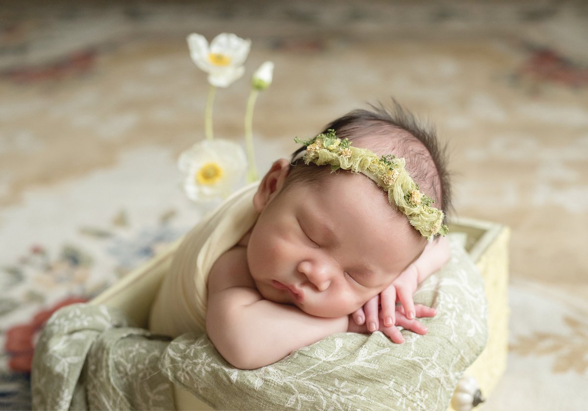 ClorisKatie's tweet photo. #newborn_photography  is art! 
See more: https://t.co/lw3YnJ5Fm5 https://t.co/YhRNDrPLQy