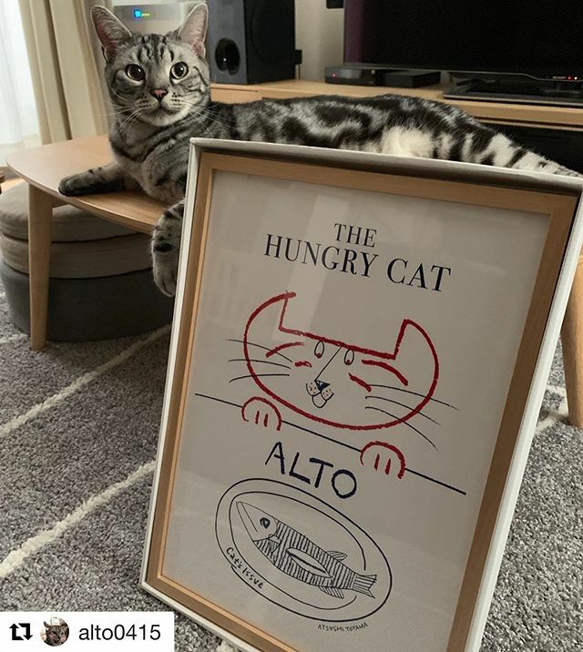 catsissue's tweet photo. #Repost @alto0415 with @get_repost
・・・
僕がモデルだよ✨
#遠山敦 #catsissue 
#アメリカンショートヘア #アメショー #シルバータビー #猫 #ねこ #にゃんすたぐらむ https://t.co/am3i5ERMUx