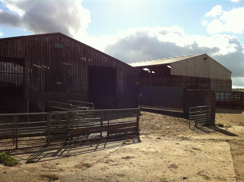 DevonFarms's tweet image. Merryfield Farm - 73.30 acre residential mixed livestock holding to let. 
Don't forget the viewing day on Monday 28 October at 10am prompt. Details of the holding can be downloaded here:
soc.devon.cc/Ch8CH

#Farming #DevonCC #Holsworthy #Farmlet #CountyFarm #YFC #NFU #AHDB