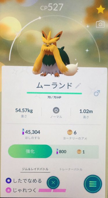 ジラーチ の評価や評判 感想など みんなの反応を1時間ごとにまとめて紹介 ついラン