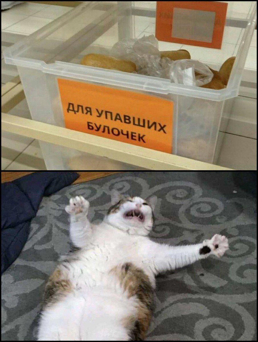 RussianMemesLtd's tweet photo. for fallen buns https://t.co/jtceyK2NXw