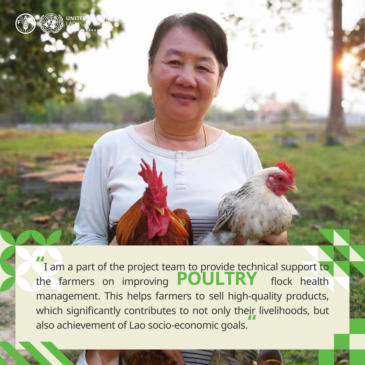 UNinLaoPDR's tweet image. How do we support sustainable biosystems in #Laos? Dr. Chintana Chanthavisouk at @FAO Laos shares an insight into her work ⬇️:

#WeAreDevelopment #OneUN #UNDay #GlobalGoals