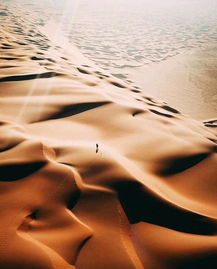 BiBonois's tweet photo. مجرد غبار     
تدروه الرياح  
لا اكتر ولا اقل https://t.co/39XqgZYeav