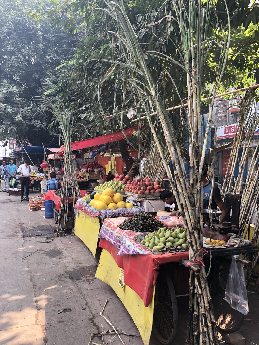 Orlygoldschmidt's tweet photo. Feeling the #Jewish holiday of #Sukkoth in the streets of #Delhi. Home away from home 😌🇮🇳🇮🇱 https://t.co/K4GcmW5C92
