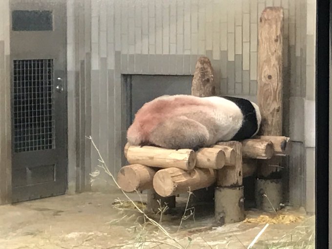 Conversation Between いるか And Youtube 1 Whotwi Graphical Twitter Analysis