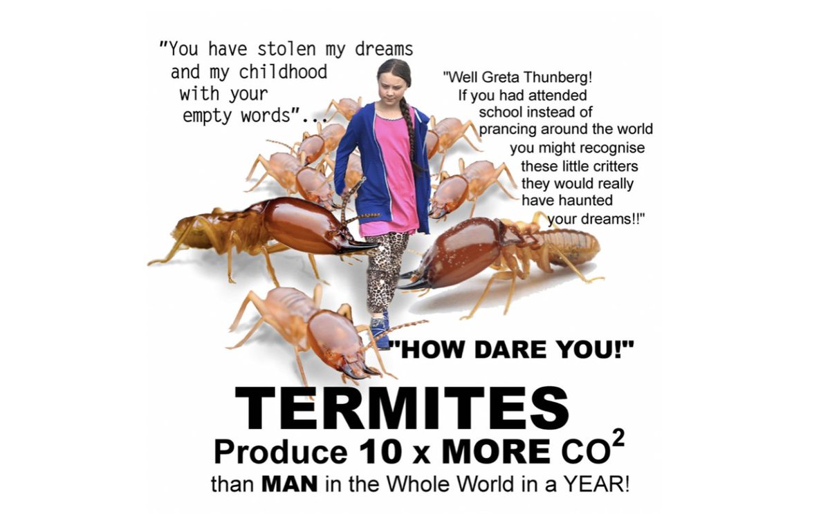 MRobertsQLD's tweet photo. HOW DARE YOU

Last week I asked the Greens what they were going to do about the world's termite population who produce 10X the CO2 output than humanity each year.

Still waiting for a response but appreciate a follower who created this graphic :-)

Video https://t.co/OhHumcQqJW https://t.co/LNHkoOsBux