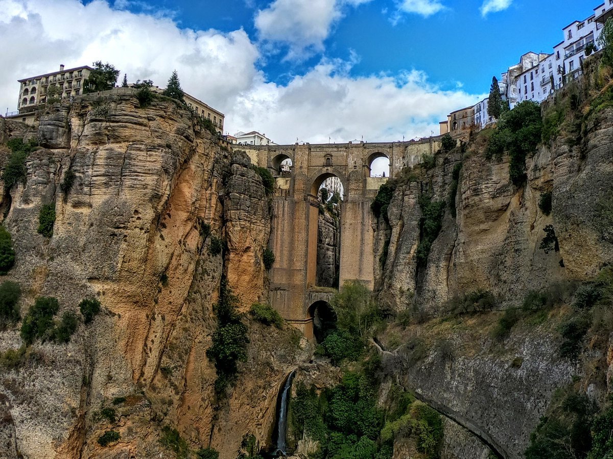 니그루니루 (@niguruniru) on Twitter photo 