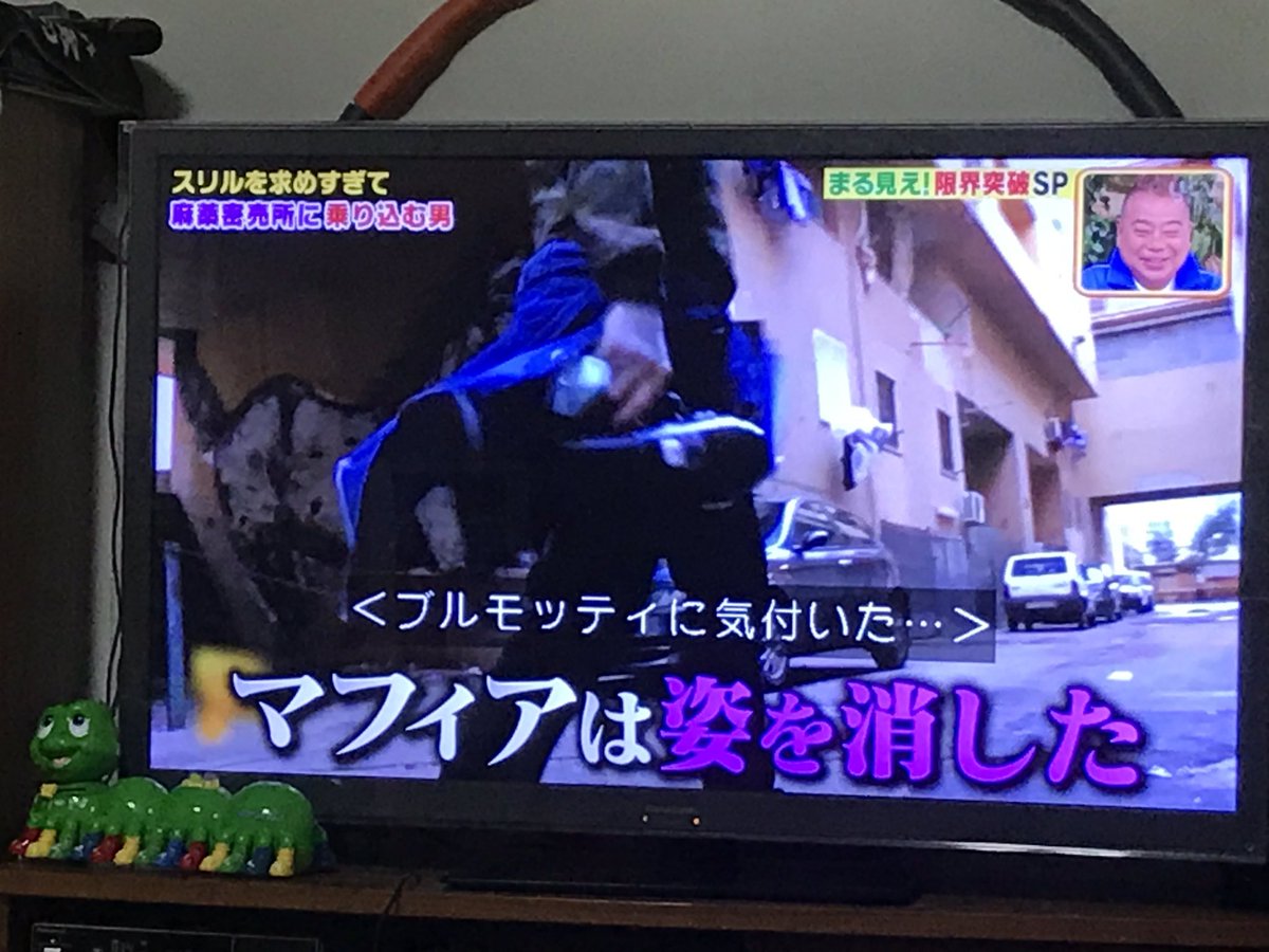 世界まる見え テレビ特捜部で ブルモッティ が話題に トレンドアットtv