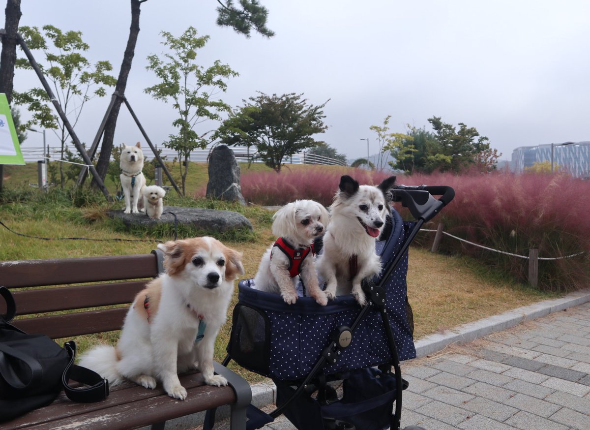 칭구들 모여라 
나름 다섯 단체샷