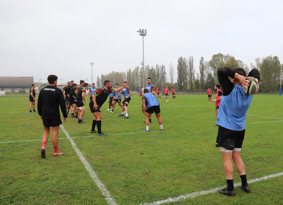 Zebre Parma 🦓 tweet media