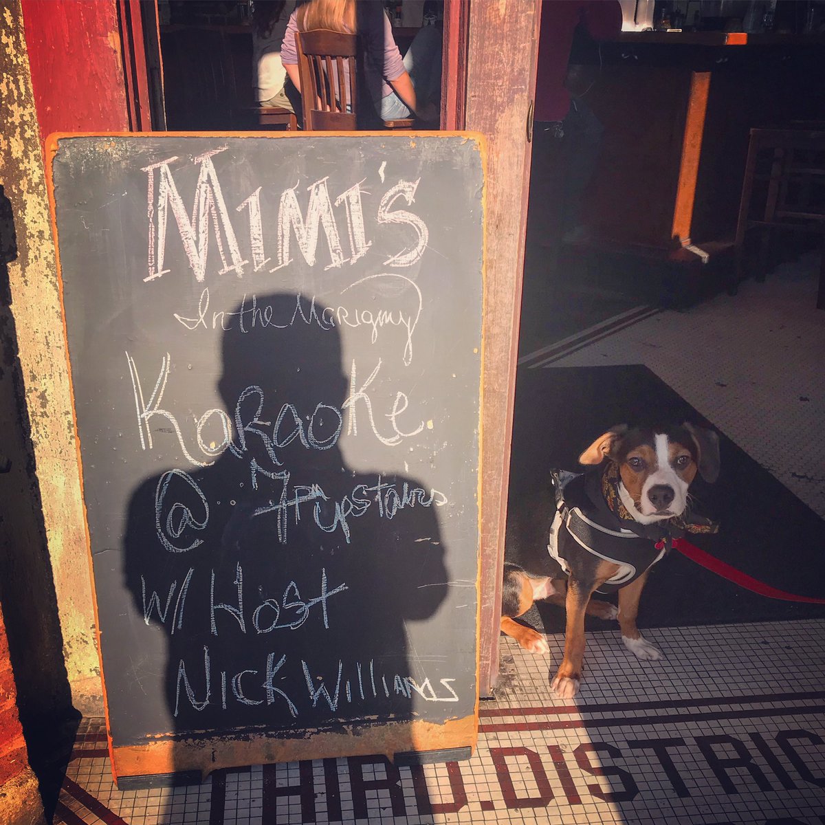 sideshowopera's tweet image. Howie wants YOU to come to @mimismarigny tonight at 7PM to sing karaoke with your host @nickguglielmo 🎶🎶🎶
.
.
#karaoke #cutedogs #sing #anyonecansing #neworleans #followyournola #dogfriendly