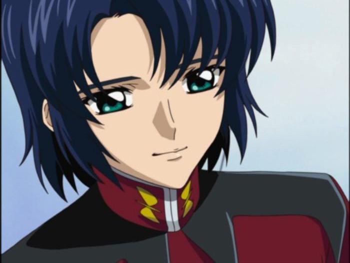 アスラン ザラ誕生祭