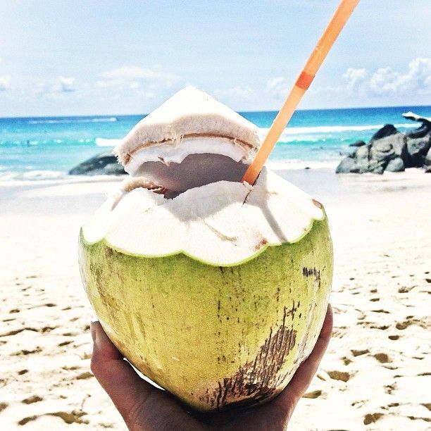 Si no te tomaste un agua de coco en el Caribe Mexicano es como si no hubieras venido... Por ello, si no lo haz hecho o quieres repetirlo, visítanos  ow.ly/ht9W50wRAei