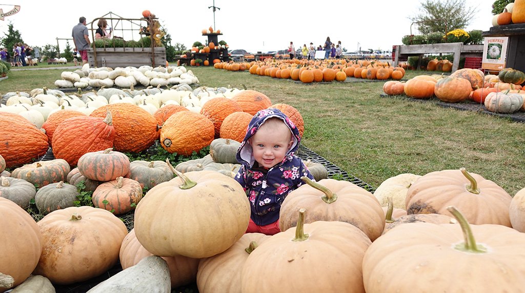 TVStateFarm's tweet image. Wishing you a big ol' patch of happiness this Halloween!