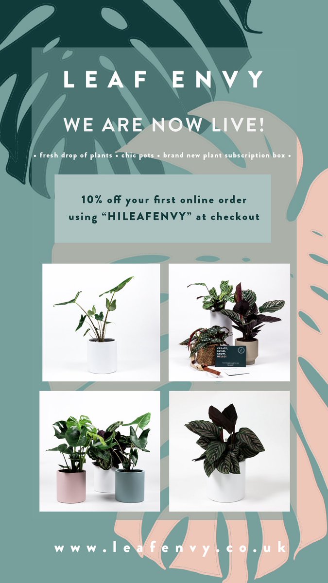 We are now live &amp; kicking! 🚀 Our mission is to make plant parenthood simple, so we can spread the joy of plants nationwide 💚 Check out our brand new website, take the plant quiz &amp; get your jungle delivered today 🌴 #plants #indoorjungle #indoorplants #leafenvy #houseplants