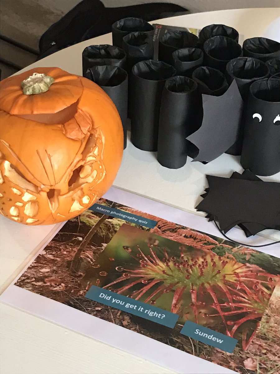 Erika Dovey tweet media