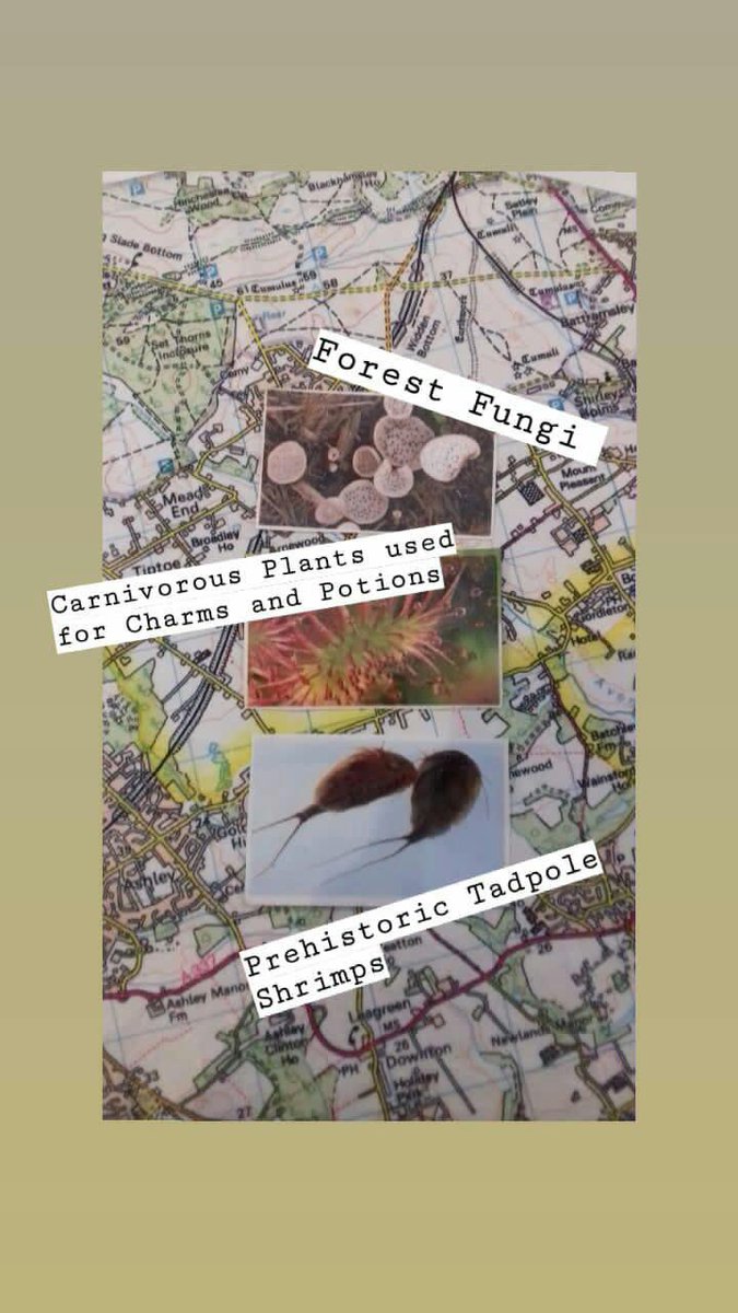 Erika Dovey tweet media