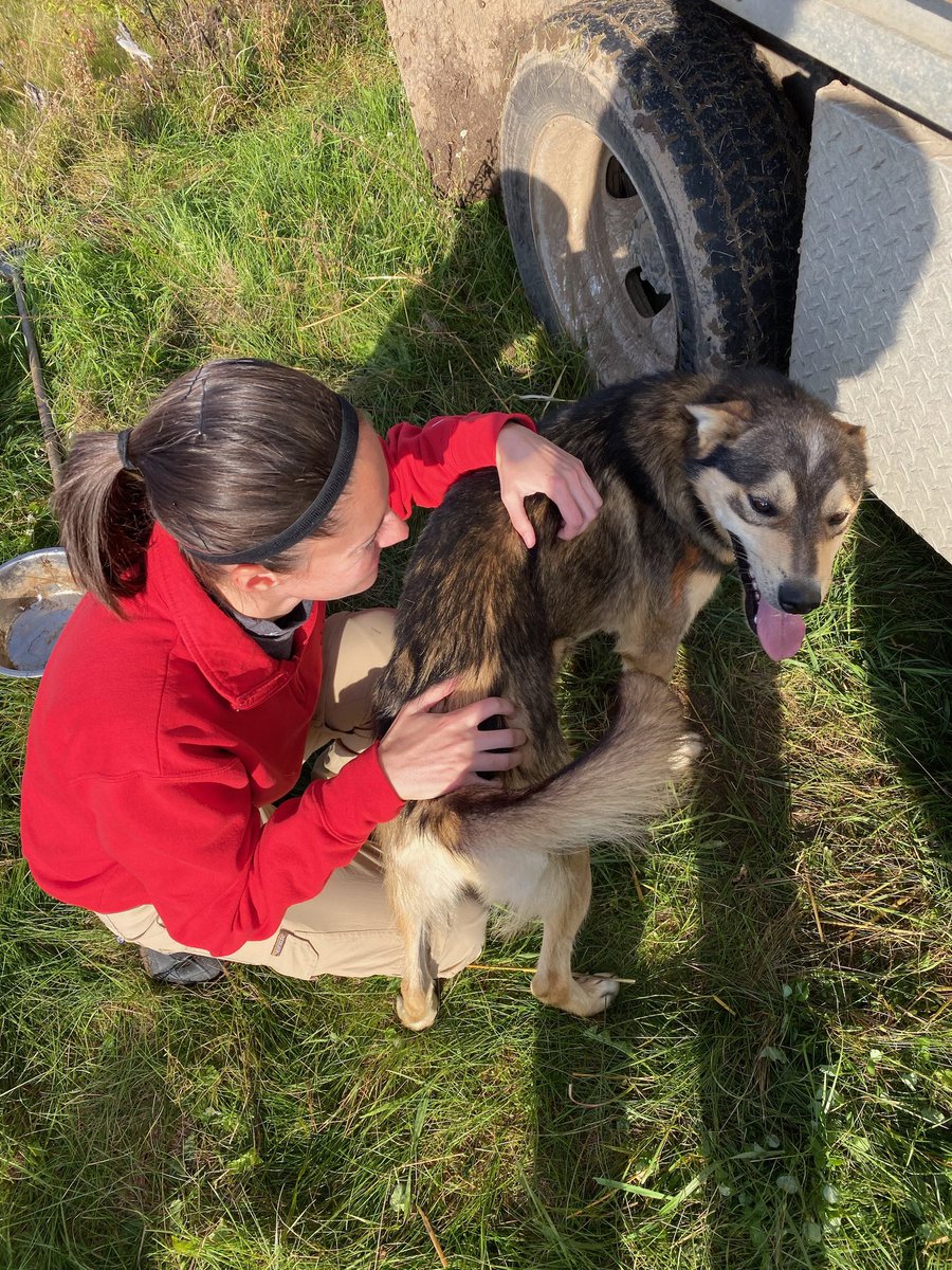 What do Pepe and Clem have in common besides DNA? They both LOVE butt scritches! Plz don’t ever stop.  #uglydogs