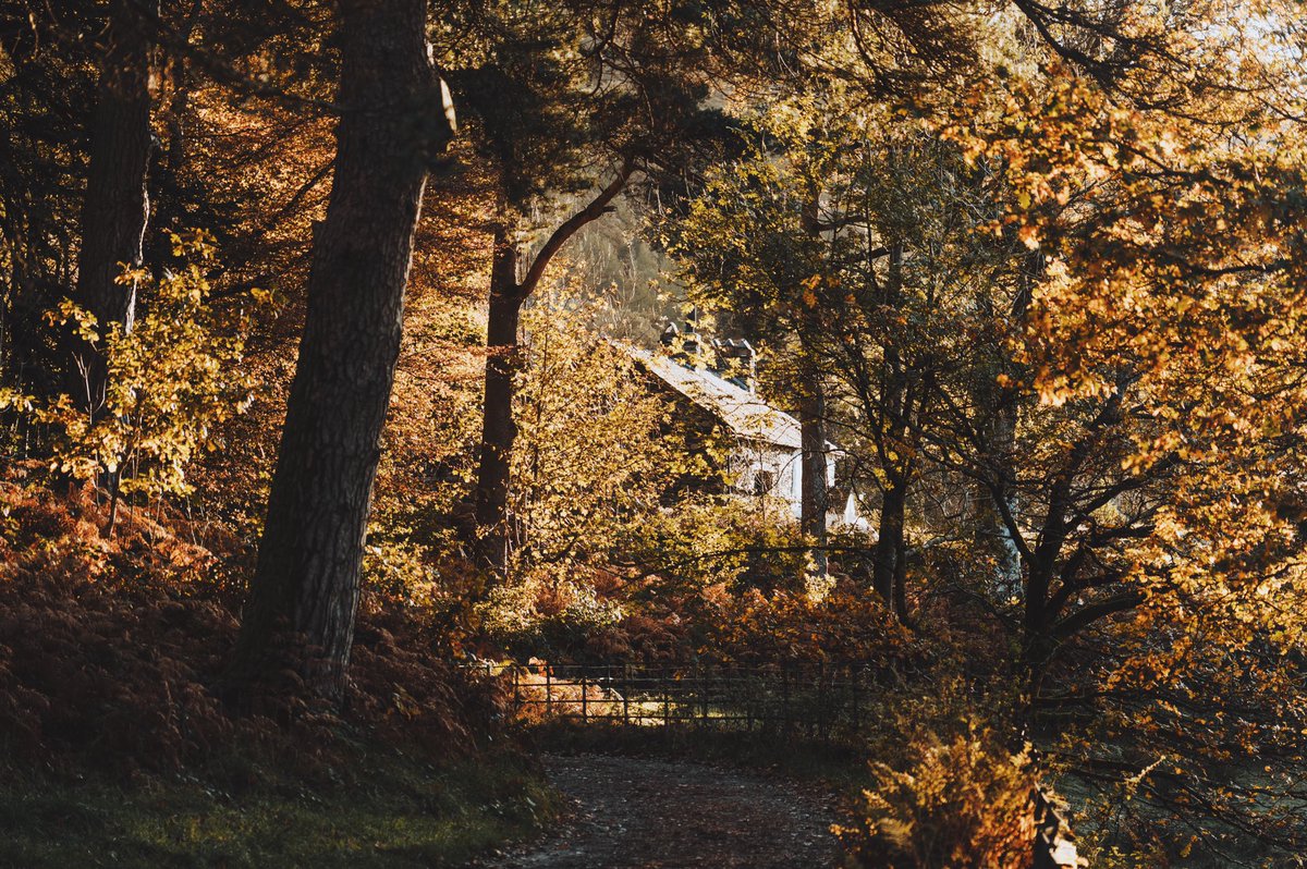 Daniel Casson tweet media