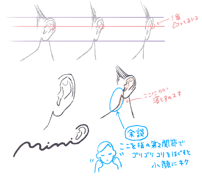耳を描くの好き?✍️ 