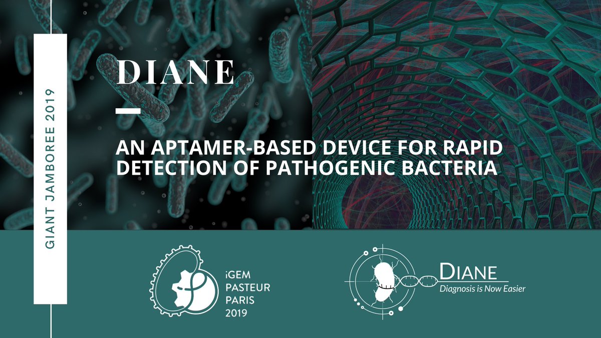iGEM Pasteur Paris is ready to fly to Boston to compete against the best! We look forward to meeting all of you and presenting the results of our ten month work! ✈️👩‍🔬👨‍🔬