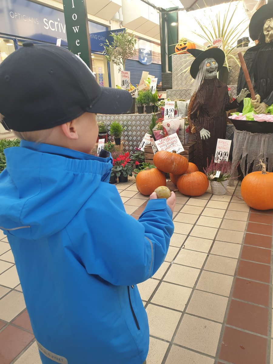 Delicious greengages for a mid-morning snack today plus a fascinating Halloween display at <a href="/PavilionFlowers/">Pavilion Flowers</a> &amp; fruit and veg in the Pavilion Tonbridge today.
#tonbridge #kent #food #fruit #toodlerlife