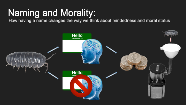ExperPsychatApp's tweet photo. How would you feel about killing a bug you just named? Ask @jameswyngaarden. He's presenting about it today at the 3MT. https://t.co/9CUalgwnr3
