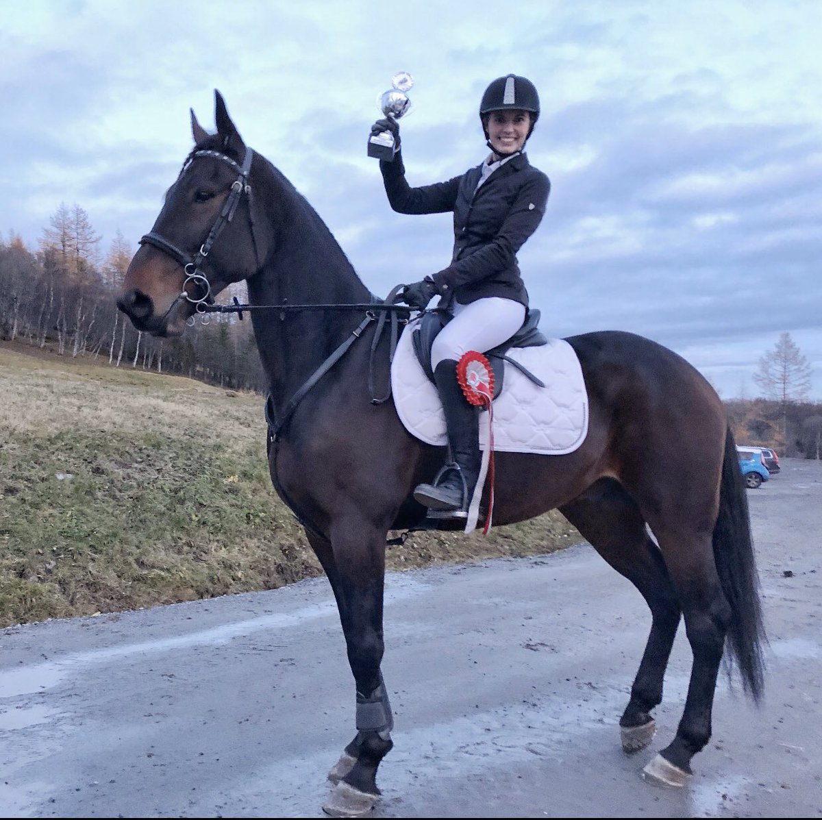 El Muro B.R. og Solveig ble nr.2 på sprangstevne i helga🥈🏆😍 Trav, sprang og dressur er ikke noe problem for denne godgutten, allsidig herremann😍