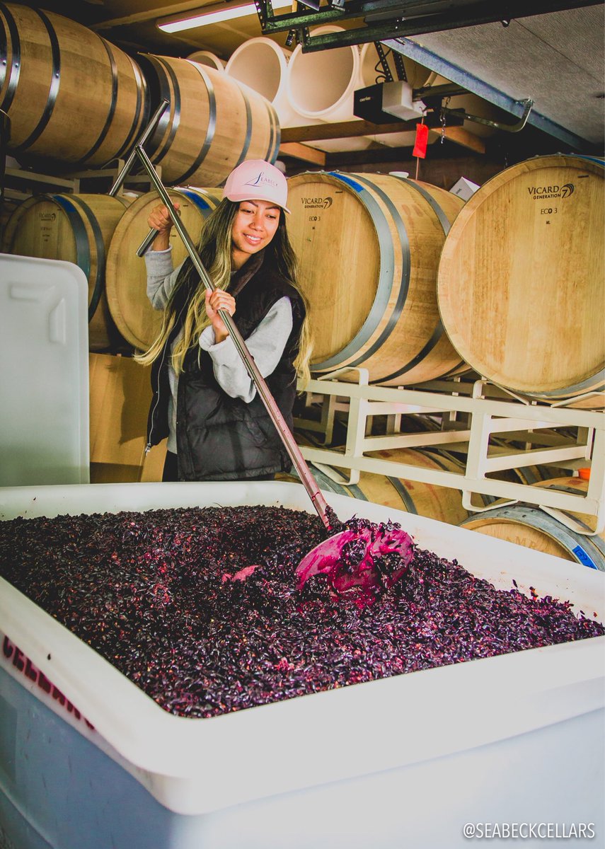 We can’t wait to taste all of our hard work from this year’s harvest! 🍇🍷 #harvest2019 #punchdown #wawine #winegirl
#redmountainava #wineharvest #winery #wine #winemoment #tastewa #boutiquewinery #familyowned #pnw #pnwwine #seabeck #kitsap #winelover #womenwholovewine