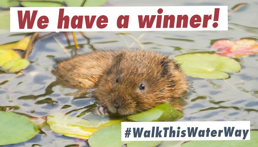 And the person who conducted the most #WalkThisWaterWay surveys before midnight 24 October was... Toni Henwood! Congratulations and thanks so much for using our <a href="/MammalMapperApp/">Mammal Mapper App</a> 🐾 Remember we're still offering a tote bag to the 2,500th user! #MammalWeek