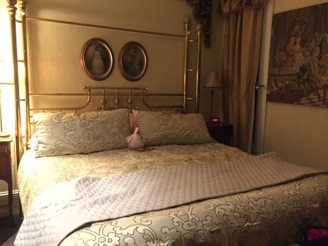 Noe's Nest B&B tweet media
