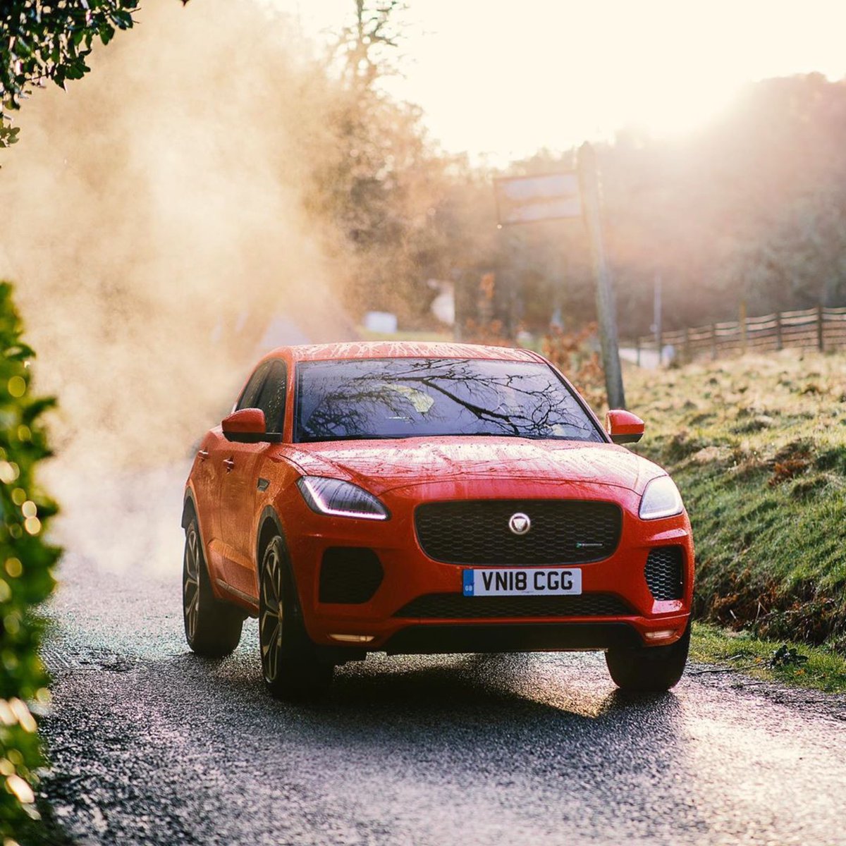 A.M. Capurro tweet media