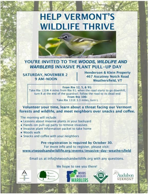 VTinvasives tweet media