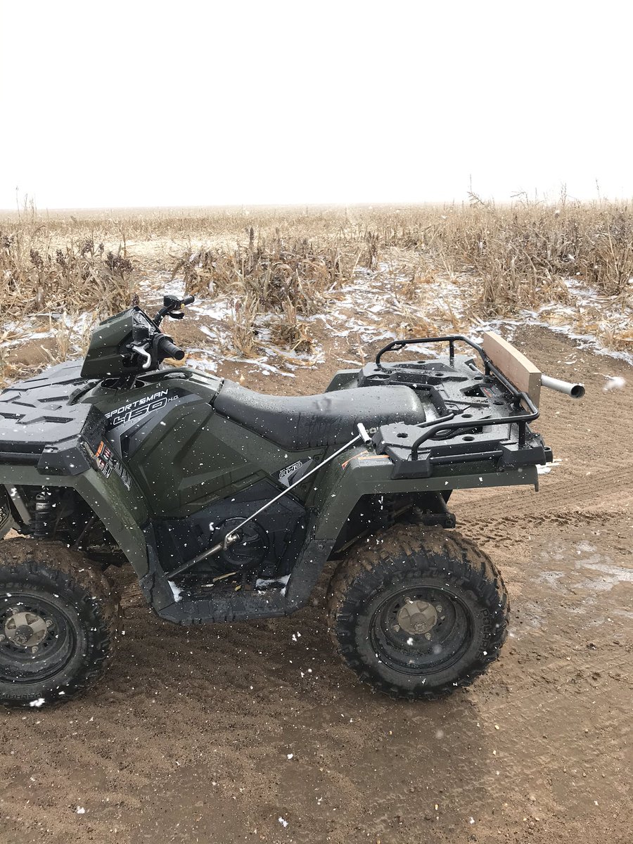 Bryan Boroughs tweet media