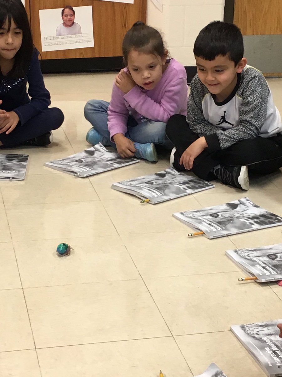 Central 1st Grade tweet media