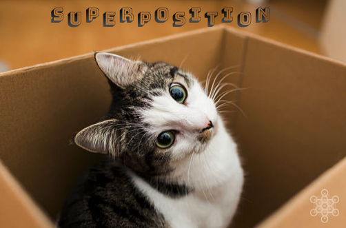 KavliFoundation's tweet image. Let&apos;s get #quantumweek started right with some talk about #superposition. Quantum superposition is being in two states (or even two places) at once. It’s answering a yes-or-no question with “both, please.”