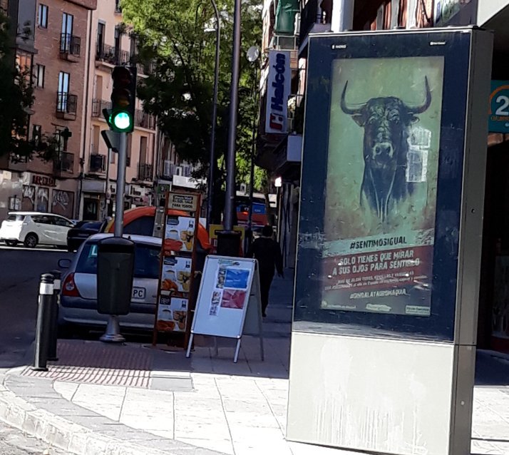 verukawww's tweet photo. Ahí está, en las calles de Madrid. Sólo tienes que mirar a sus ojos para sentirlo.
Campaña de #publicidad contra la explotación y el #maltratoanimal ¡Más campañas así!
#SentimosIgual 🐂 #DiNOaLaTauromaquia @luixo80 @paulaGlezC https://t.co/t5WuVfKqRA