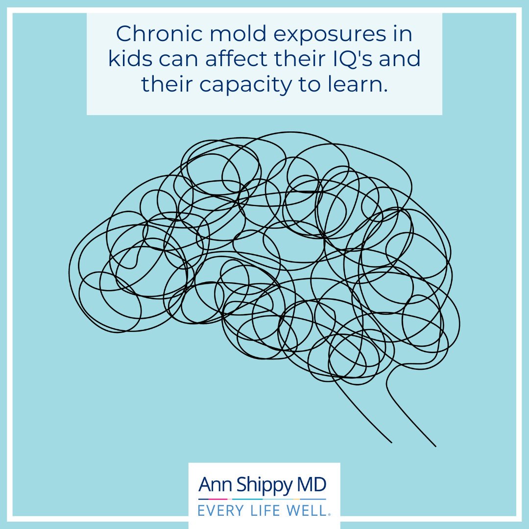 DrEddyClinic's tweet photo. RT @AnnShippyMD: 😷 #MoldyMonday Mold can cause tremendous damage and symptoms like difficulty concentrating, memory loss, ADHD/ADD, lower IQ, & learning and behaviorial issues. https://t.co/SDhgCuiodb
#functionalmedicine #fxmedicine #EveryLifeWell #Get… https://t.co/aXJn7dQlsp