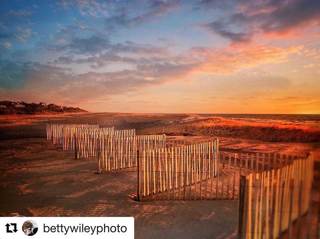 OrleansMA's tweet image. 📸📝 @bettywileyphoto ・・・ Nauset sunrise - oh how I love these fences! Have a great weekend everyone! #yankeemagazine #newenglandlife #wickedcapecod #naturalnewengland #pineandwater #naturalmassachusetts #massachusettsphotographer #beautyofnewengland… dlvr.it/RH80bg