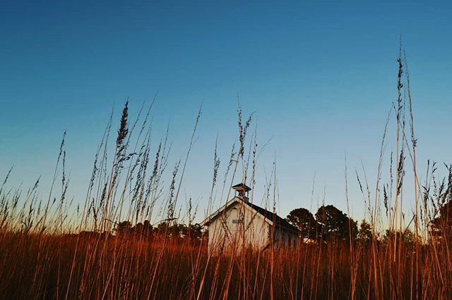 MichelleDeRusha's tweet photo. The snow is going to blow in this week, but I am having none of it. Resistance is posting autumn pictures even when the temperature plummets into the 20s.
.
.
#slowliving #theeverydayproject #practicingpresence #seasons #seasonschange #daysofsmallthings #whimsicalwonderful… https://t.co/mcWgRzHDwn