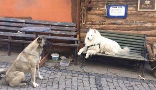 zengin kız &amp; fakir oğlan