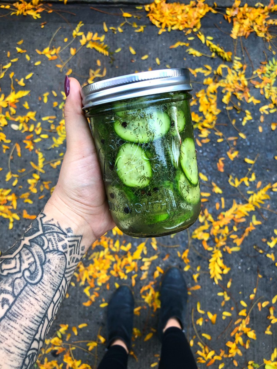 Hey loves! I just uploaded a video on how to make easy refrigerator pickles. Check it out! youtu.be/E0KYQphitG8
