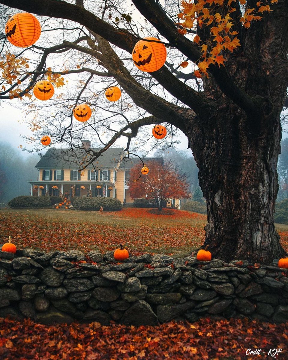TRVLCreative's tweet photo. Trick or treat 👻 https://t.co/GxE2OAnxN4