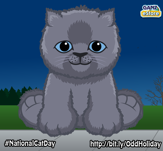 webkinz persian cat